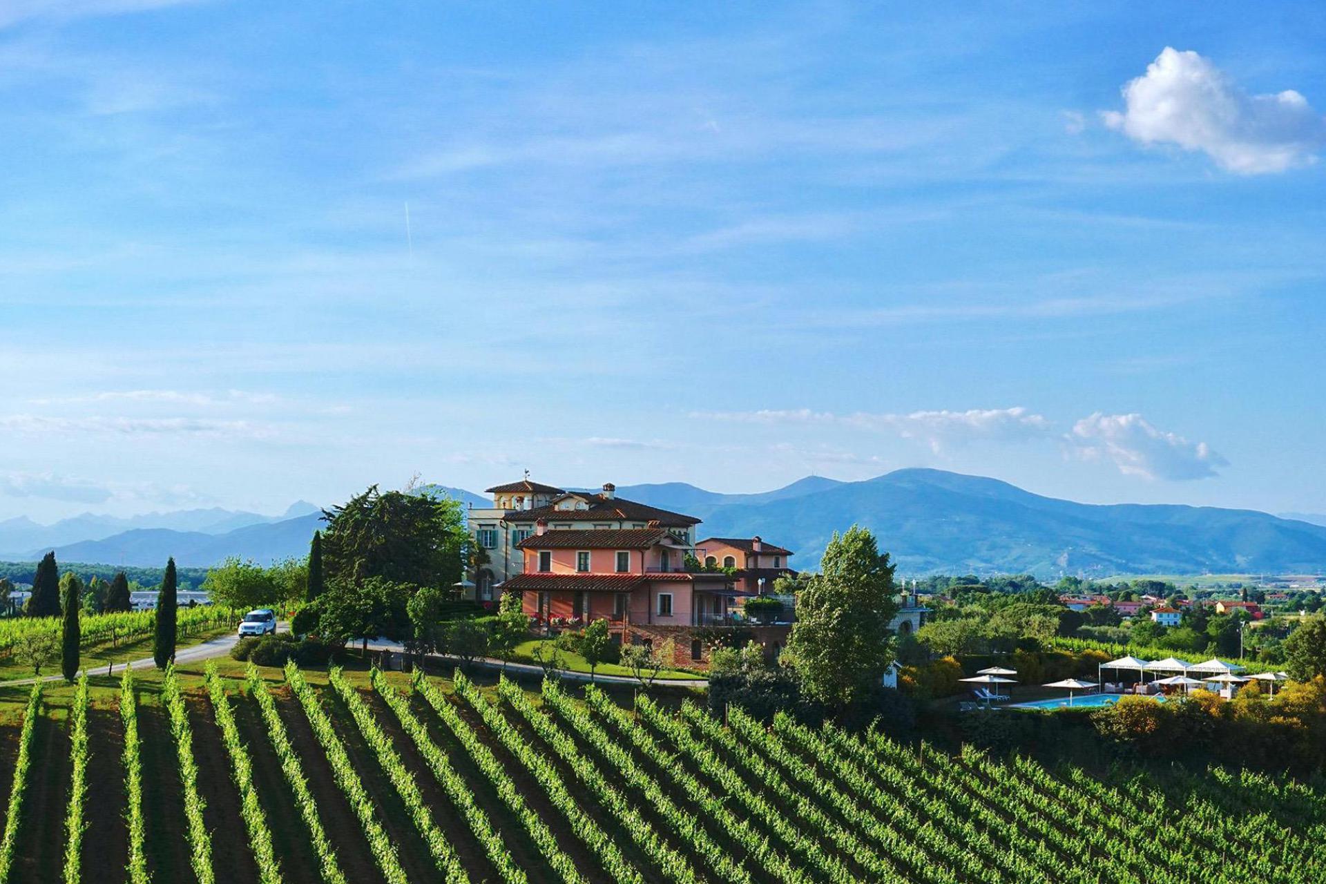 Prestigious winery near Pisa