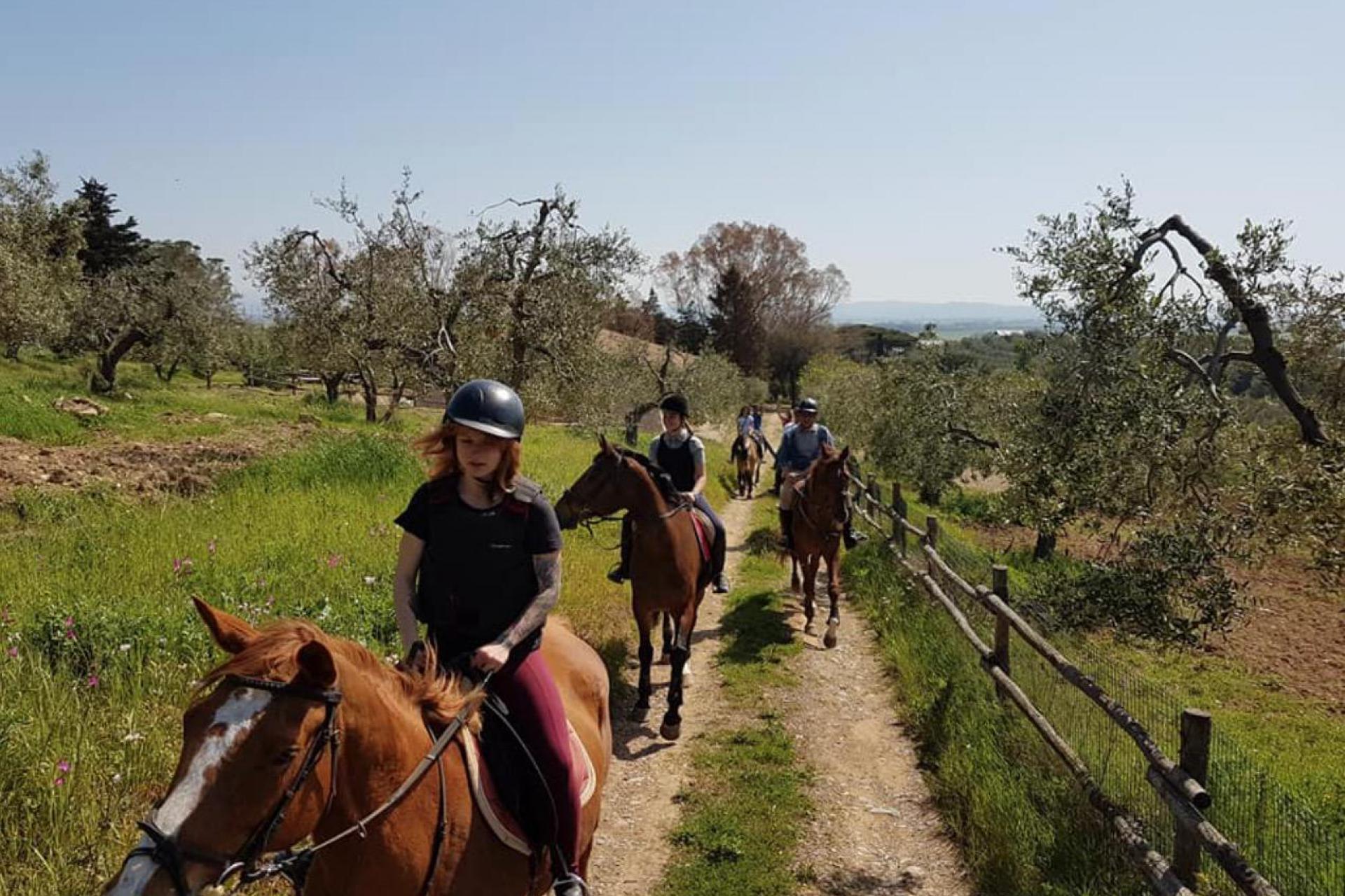 Agriturismo with riding school near the sea