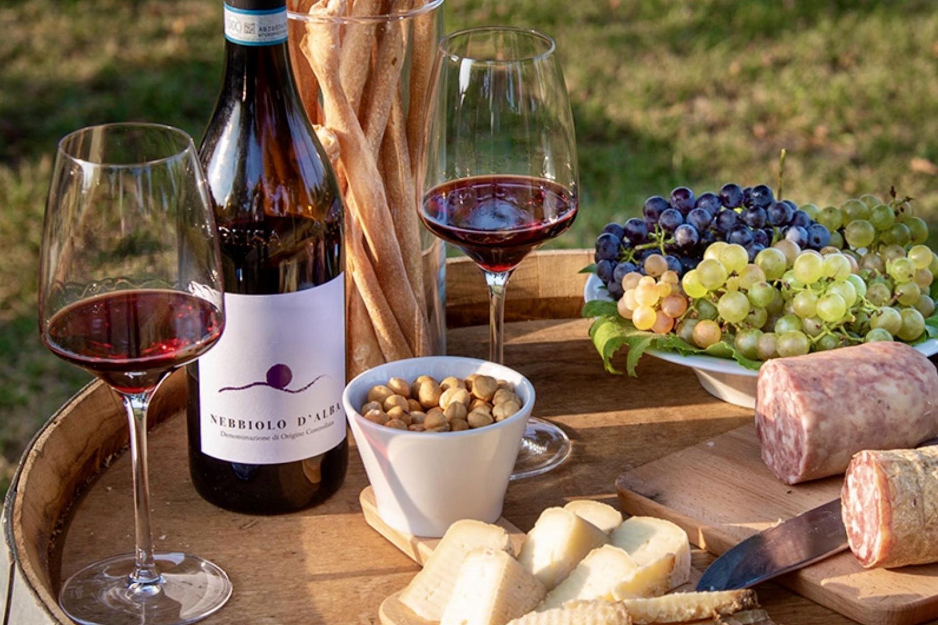 Piedmontese agriturismo with wine tastings