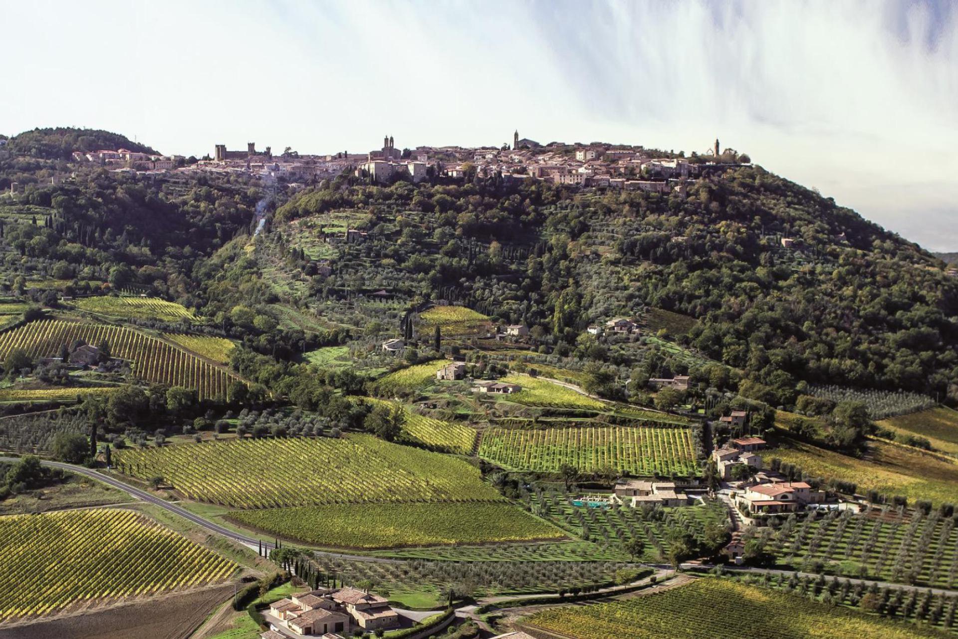 Luxe wijnboerderij op slechts 2 km van Montalcino